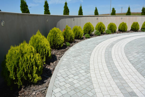 Best Concrete Paver Driveway  in South Apopka, FL