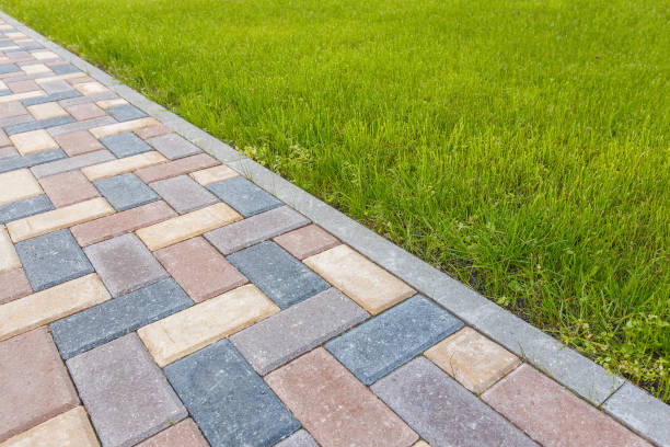Best Brick Driveway Pavers  in South Apopka, FL